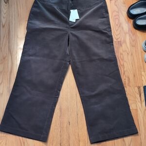 Universal Standard Corduroy Pants in Nori Green Size 16